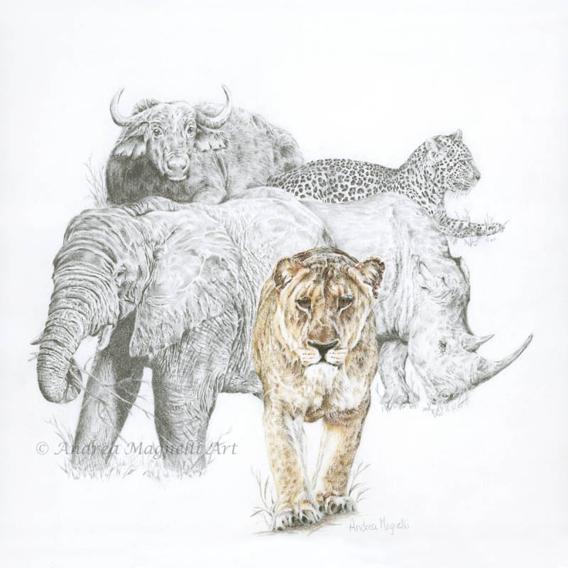 Colored pencil and graphite drawing of a lion, elephant, rhino, leopard and cape buffalo